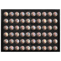 Baseball and Hockey Puck Display (Holds 60 Balls)